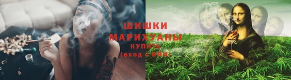 шишки Вязники