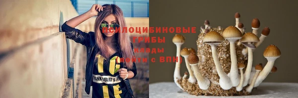 шишки Вязники
