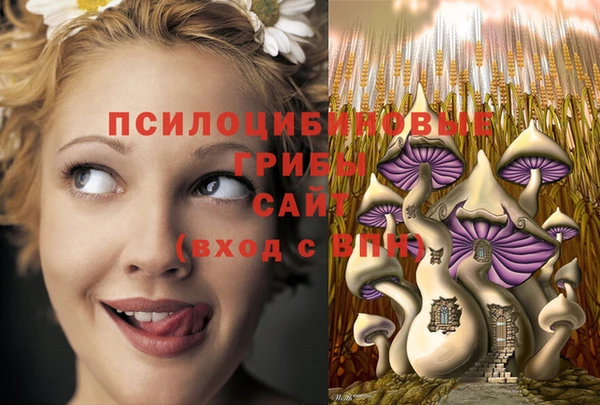 бутират Вяземский