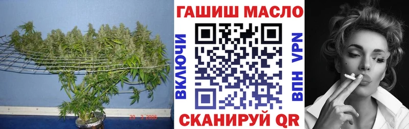 где купить   Вытегра  Дистиллят ТГК THC oil 